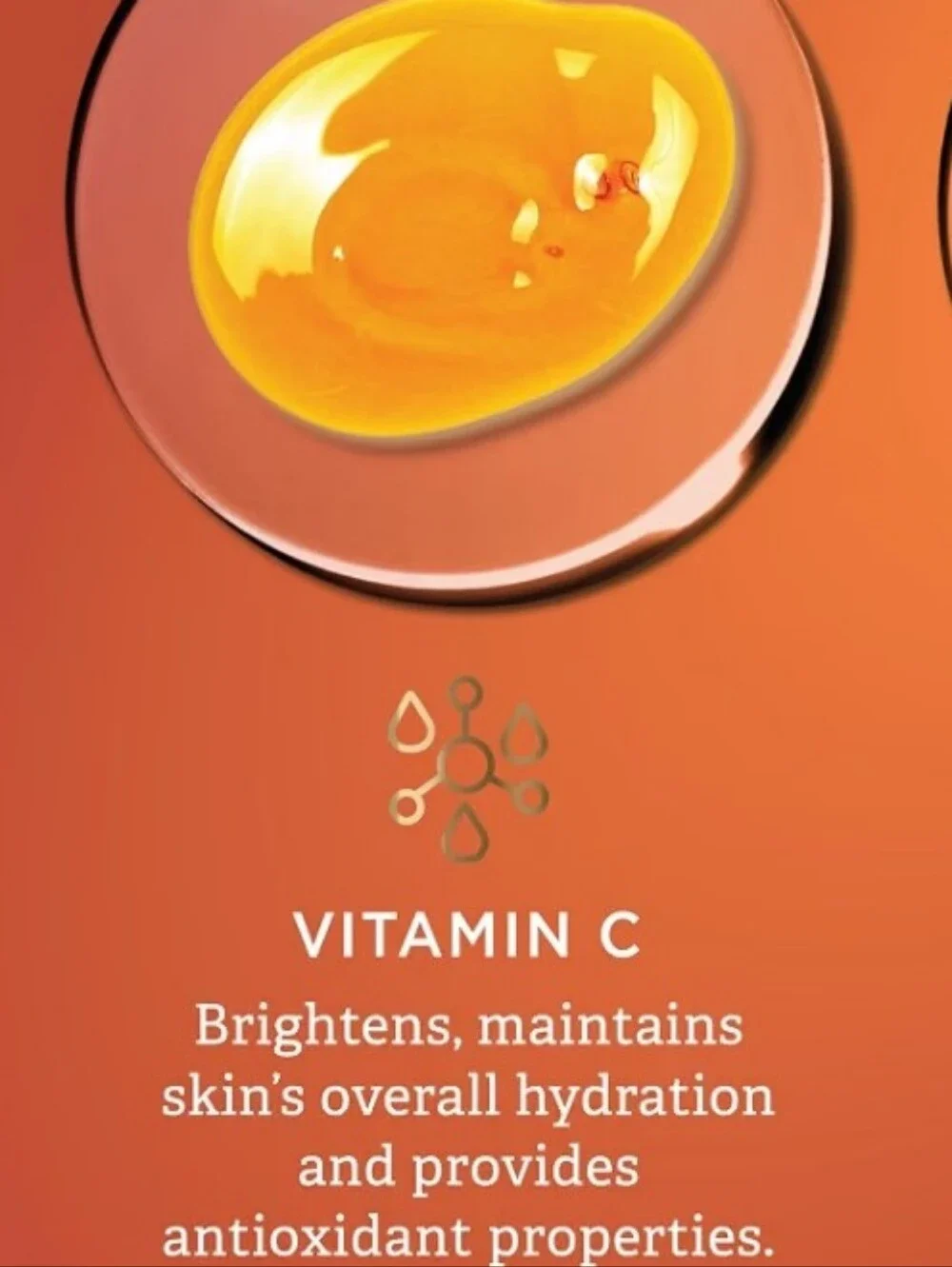 Findley Vitamin C & Hyaluronic Acid All In One Facial Serum. NIB. Unisex.